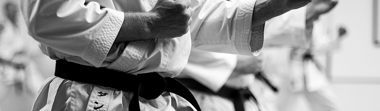 Værdier Taifu Karate Dojo